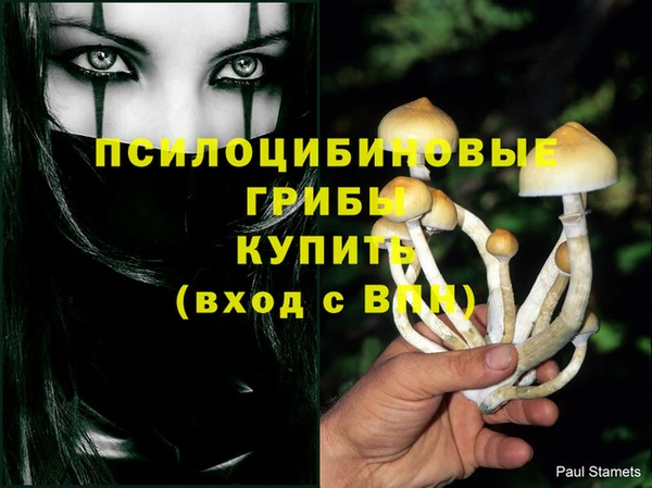 2c-b Алзамай