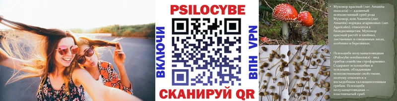 закладки Калтан Псилоцибиновые грибы прущие грибы